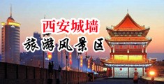 婷婷人妖大屌中国陕西-西安城墙旅游风景区