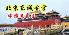 美女被搞鸡尤物视频中国北京-东城古宫旅游风景区